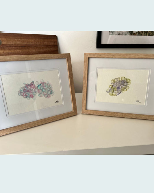 watercolour embryo paintings in blue, purple and green