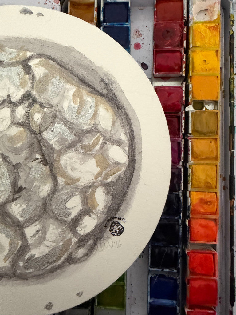 watercolour embryo painting