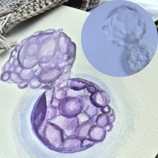 20x25cm Custom Watercolour IVF Embryo Painting