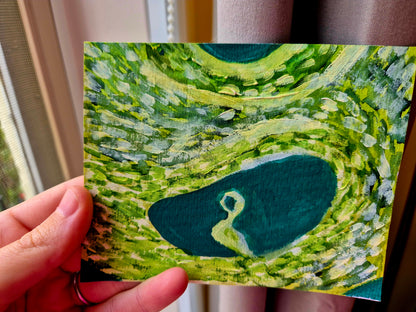 green ultrasound painting