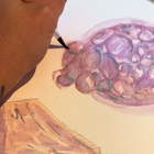 A3 Poster Size Multi Scan Watercolour Painting - Embryo, Ultrasound, 3D Ultrasound
