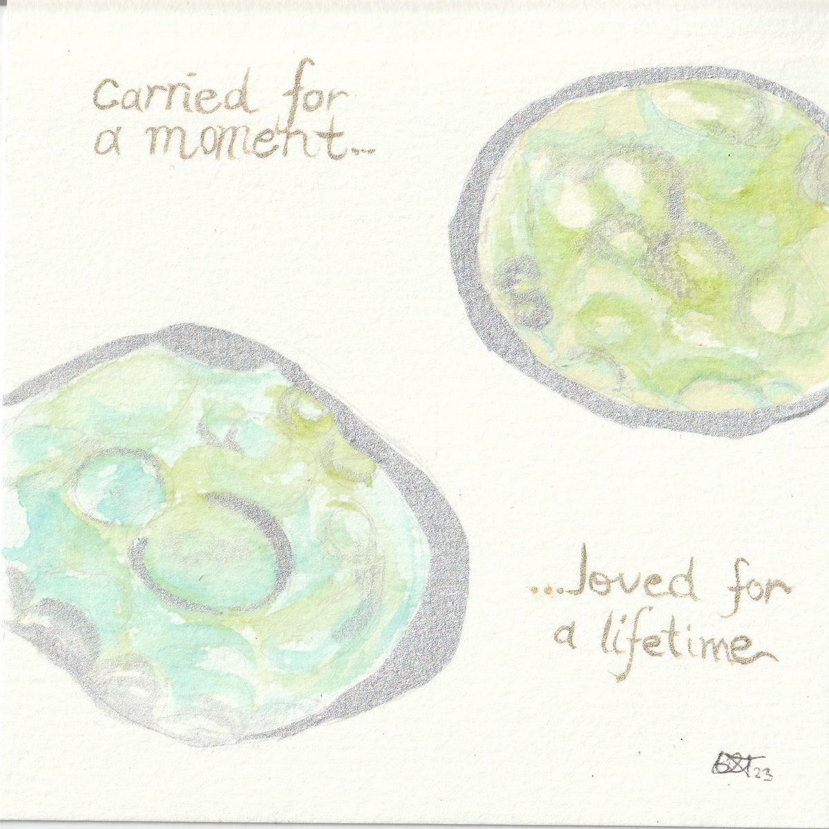 embryo painting twins