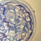 close up detail shot of blue watercolour embryo painting