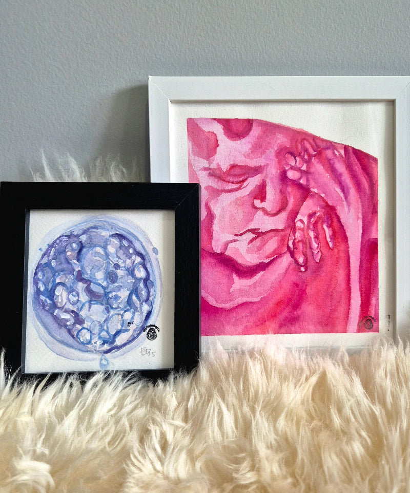 two framed images, one pink watercolour 3d 4d painted ultrasound sonogram, one blue and purple hatching blastocyst embryo