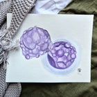 purple watercolour ivf hatched embryo painting